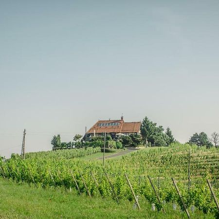 Taverna & Wine Jeruzalem Ivanjkovci Eksteriør bilde